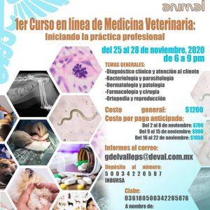 1er Curso en linea de Medicina Veterinaria (Iniciando la practica profesional)